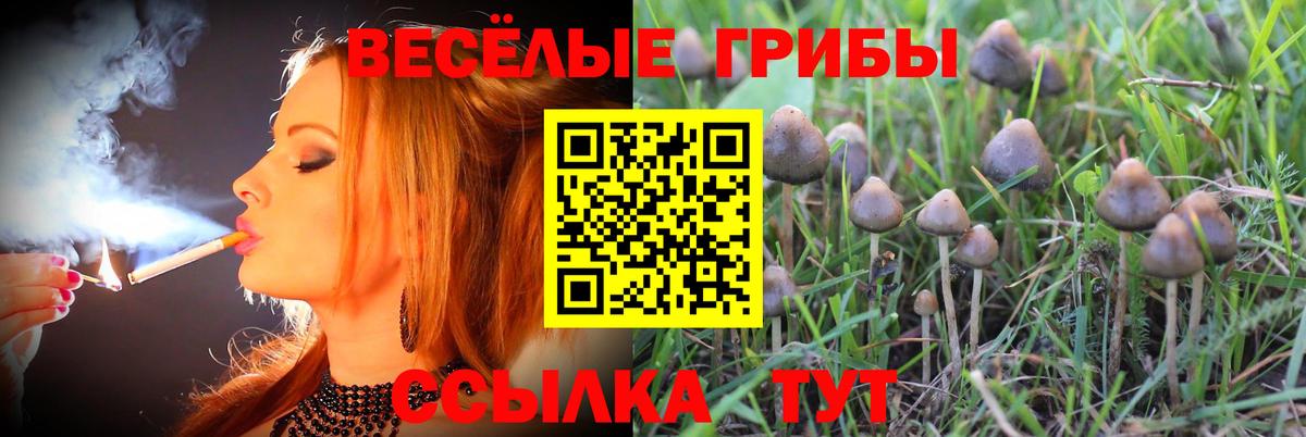 Еманжелинск  Галлюциногенные грибы Psilocybine cubensis  Вход с VPN  Псилоцибиновые грибы GOLDEN TEACHER 